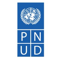 PNUD Niger logo - Similar company to Cgp Niger