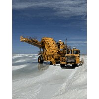 Grupo Maynez Luken, S. de R.L. de C.V. logo - Similar company to George'S Camera Exchange