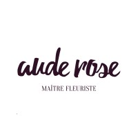 AUDE ROSE logo - Similar company to Studio Ortie