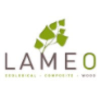 LAMEO logo - Similar company to Joint Dual