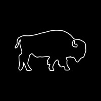 Buffalo InDigital logo - Similar company to Clover Asset Solutions