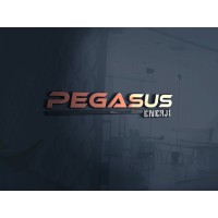 PEGASUS ENERJI logo - Similar company to Tetpan