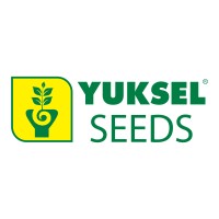 Yuksel Seeds logo - Similar company to Origene Seeds