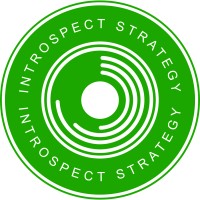 Introspect Strategy Consulting logo - Similar company to Ryse Coaching