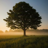 Much Support Consulting logo - Similar company to Summit Recovery Hub