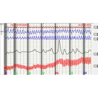 Attest Polygraph Services logo - Similar company to Data Advantage