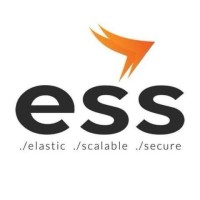 ESS Brasil logo - Similar company to Ess Inc