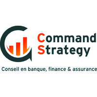 Command Strategy Advisory logo - Similar company to Systemathics
