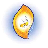 Baby Grace Foundation - Non-Profit logo - Similar company to Cal Fresh