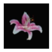 Hi Honey Studio logo - Similar company to Villa Studio