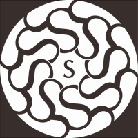 Shine and Smooth logo - Similar company to Awesm Ai