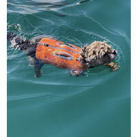 Vetconcept SA - AniCura Ecublens et Lausanne logo - Similar company to Landtechnik Nürnberger