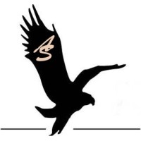 AbbuSys Limited logo - Similar company to Baani