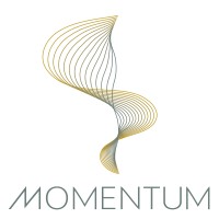 Momentum Advisory Group logo - Similar company to Momentum Advisory Group