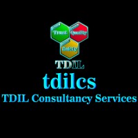 TDIL Consultancy Services (tdilcs) logo - Similar company to Wikigalaxy | Empowering Minds