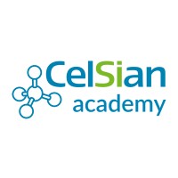 CelSian Academy logo - Similar company to Celsian