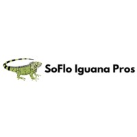 SoFlo Iguana Pros logo - Similar company to Ewb