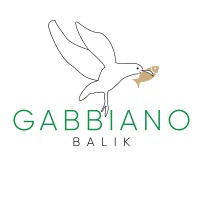 Gabbiano Balık logo - Similar company to Ajansbuddy