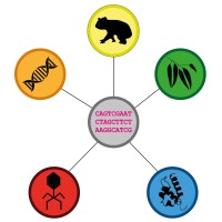 Adelaide University Biosciences Network logo - Similar company to Adelaide University Sciences Association (Ausca)