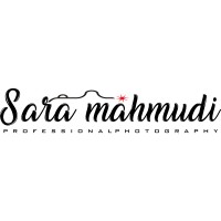 SunriseTeam logo - Similar company to Dhgate.Com