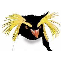 Rockhopper Tech logo - Similar company to Rockhopper Tech Is A Registered Trade Name For Computer Alli, Inc. A Georgia Corporation.