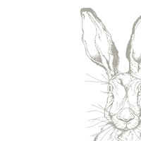 Heresy Consulting logo - Similar company to Alfa8 Llc