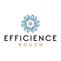 Efficience Rouen logo - Similar company to Réseau Efficience