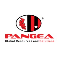 Pangea Industrial Group, Inc. logo - Similar company to Gaining The Technology Leadership Edge