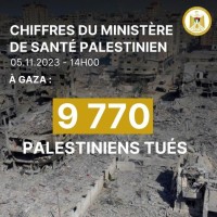 Is Israel doing a genocide to Palestine / Gaza ?  - الإبادة الجماعية فلسطين إسرائيل - ישראל רצח עם logo - Similar company to Hamas Palestine Vs Israel War - חמאס פלסטין נגד מלחמת ישראל - حرب حماس فلسطين ضد إسرائيل