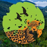ProBiodiversa Brasil logo - Similar company to Conscientize Angra