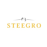 STEEGRO logo - Similar company to The People Skillz Company | B Corp