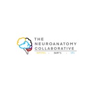 The Neuroanatomy Collaborative logo - Similar company to Opsurg