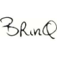 BrinQ - Leiderschapsontwikkeling in de zorg logo - Similar company to Delistaff.Com