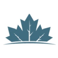 Maple Street Advisors logo - Similar company to Solutions 101
