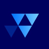 Vector Synergy logo - Similar company to Ncim Groep