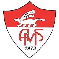 As Menimur Vannes logo - Similar company to Vaillante Angers Football Club