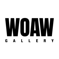 Woaw Gallery logo - Similar company to Art Again