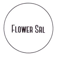 Flower SRL logo - Similar company to Flauer