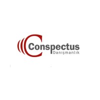 CONSPECTUS Yönetim Danışmanlık ve Eğitim Hizmetleri Ticaret Ltd. Şti. logo - Similar company to Conspectus Academy