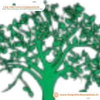 The Prithvi Foundation logo - Similar company to Bricstal Group