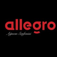Allegro Home Furniture logo - Similar company to Daaboul Indastrial Group