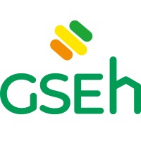 Groupe Solutions Econ'Home - GSEH logo - Similar company to Gem Isolation