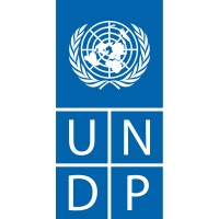 United Nations Development Programme (UNDP) logo - Similar company to The Wellcome Foundation Limited