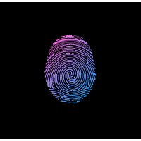 IDHWG logo - Similar company to Algorithmic Innovations