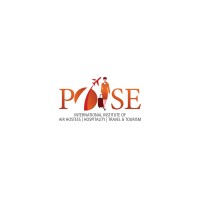 Poise Aviation Institute logo - Similar company to Yess Infotech