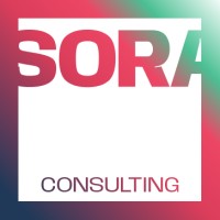 SORA Consulting logo - Similar company to Mzz Ventures