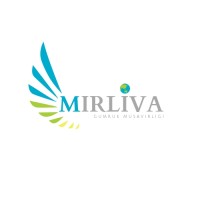 Mirliva Gümrük Müşavirliği logo - Similar company to E-Kargo