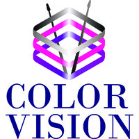 Color Vision logo - Similar company to I Am Mentality Youth Male Empowerment Project
