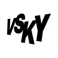 VSKY logo - Similar company to Webque