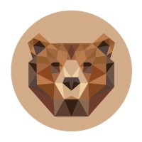 Bearid Project